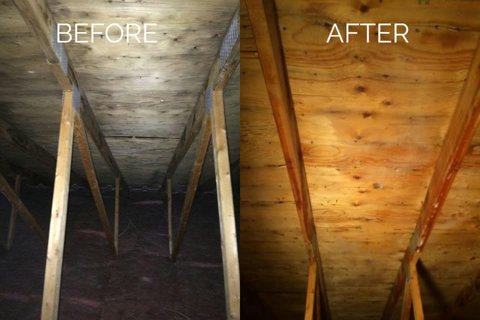 Illustrative before-and-after view of moisture-affected materials and a remediated area